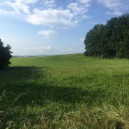 U Pamatneho Stromu V Podkrovi *