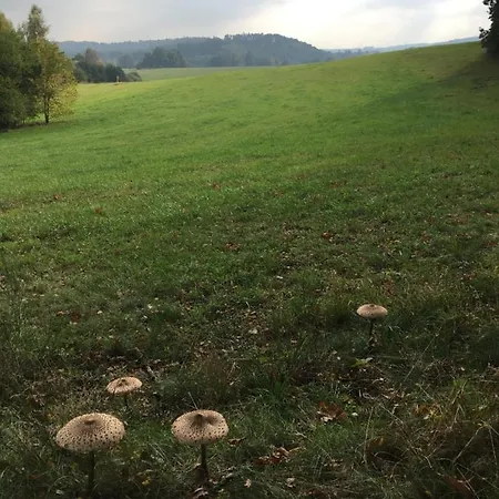 U Pamatneho Stromu V Podkrovi Lejlighed